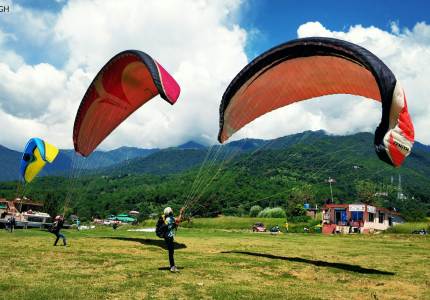 Shimla