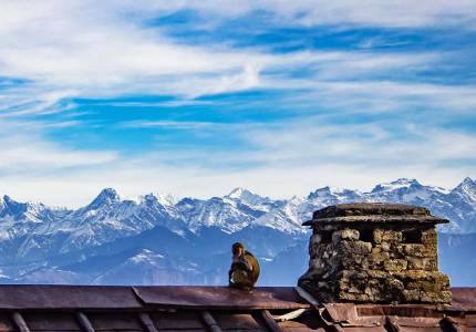 Dalhousie