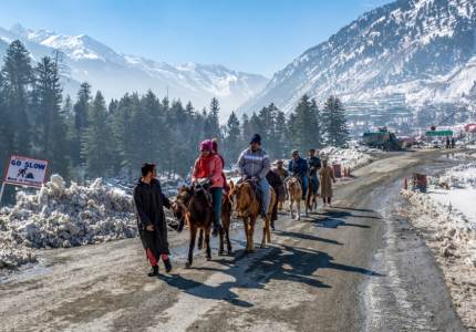 Srinagar Tour