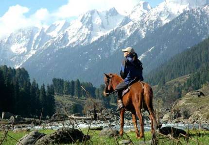 Srinagar Tour