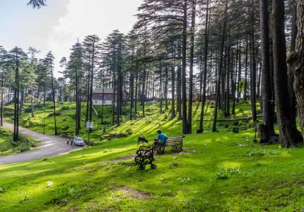 Amritsar Patnitop Pahalgam Srinagar Gulmarg Sonmarg 6 Nights 7 Days Tour