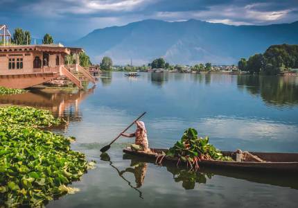 Srinagar