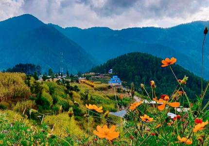 Amritsar to Patnitop Katra 3 Nights 4 Days Tour