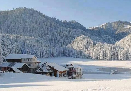 Dalhousie Taxi